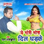 A Gori Mora Dil Dhadke