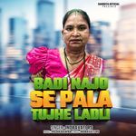 Badi Najo Se Pala Tujhe Ladli