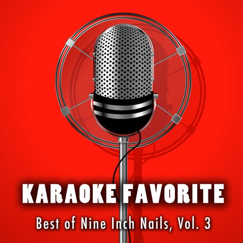 Best of Nine Inch Nails, Vol. 3 (Karaoke Version)_poster_image