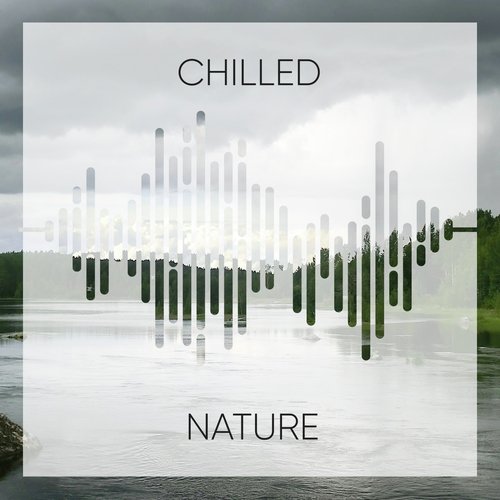 Ambientalism cover art