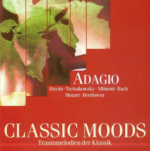 Symphony No. 6 in B Minor, Op. 74, "Pathétique": IV. Finale: Adagio lamentoso