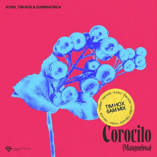 Corocito (Manguelena) (Tim Hox 5AM Mix) cover art