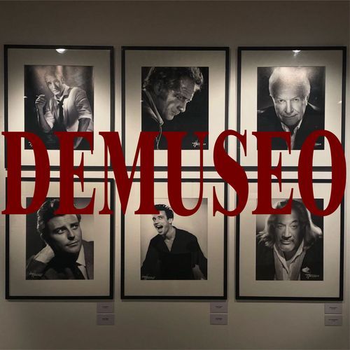 DEMUSEO_poster_image