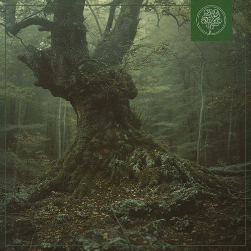Deep in the Woods