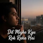 Dil Mujhe Kyu Rok Raha Hai