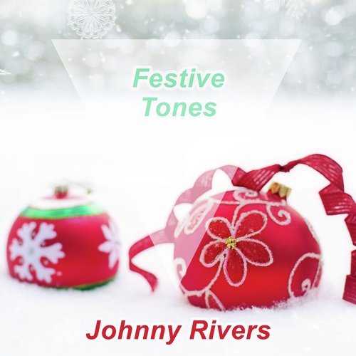 Festive Tones_poster_image