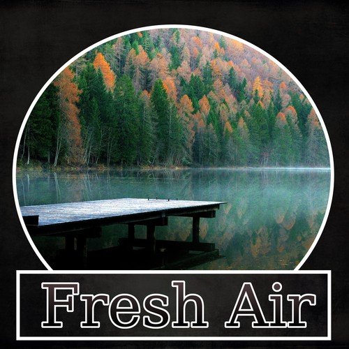 Nature White Noise cover art