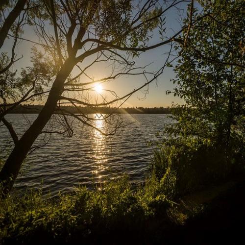 Green Lake at Dawn cover art