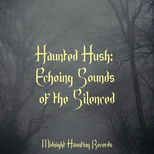 Haunted Hush: Echoing Sounds of the Silenced_poster_image