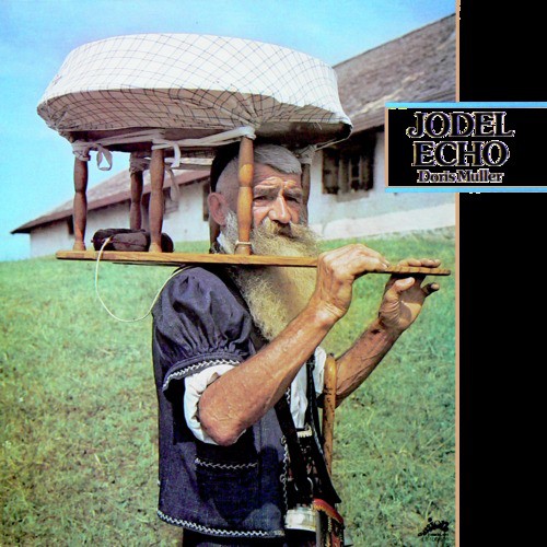 Die Lustigen Vier cover art