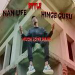 Nan Life Style Hinge Guru