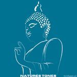 11 Minutes of Crystal Tones 528 Hz Hi Def Recording On Beach
