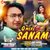 O MERE SANAM (HINDI)