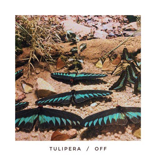 Off cover art