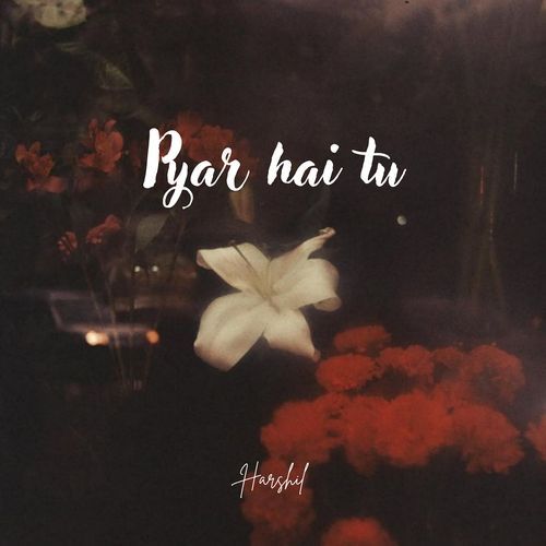 Pyar Hai Tu
