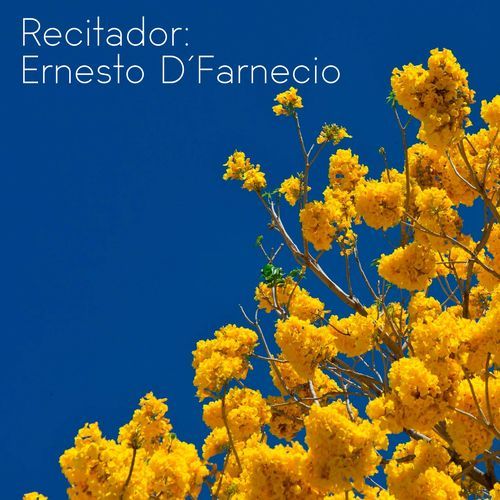 Recitador Ernesto D´Farnecio