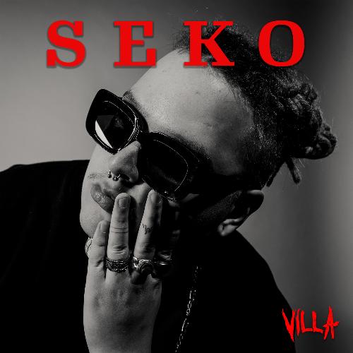 SEKO_poster_image