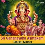 Sri Gananayaka Ashtakam