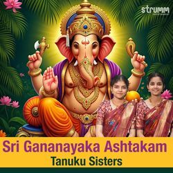 Sri Gananayaka Ashtakam