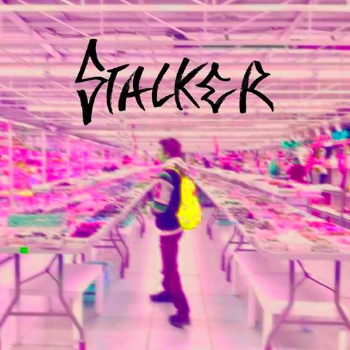 Stalker (Remix) cover art