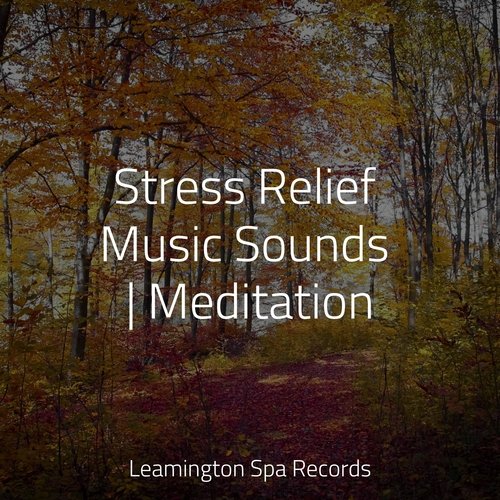 Stress Relief Music Sounds | Meditation