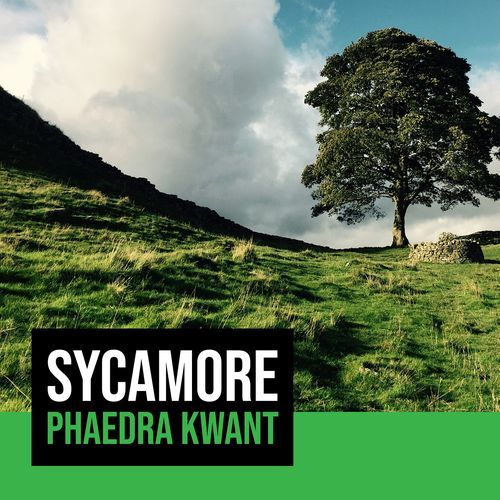 Sycamore_poster_image