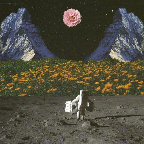 The Adventures of Solomon