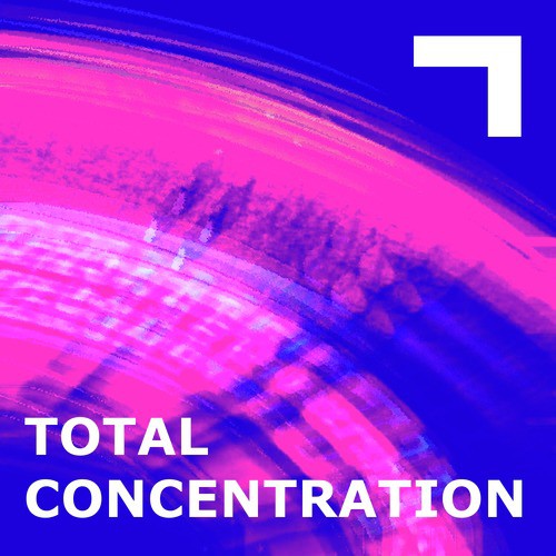 Total Concentration (Part 12)