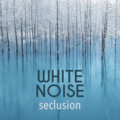 White Noise: Seclusion_poster_image