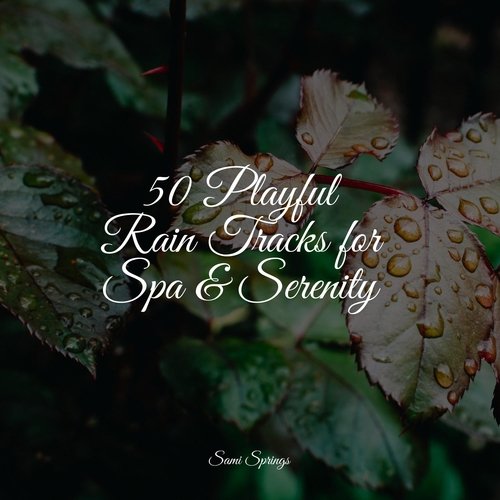 50 Playful Rain Tracks for Spa & Serenity