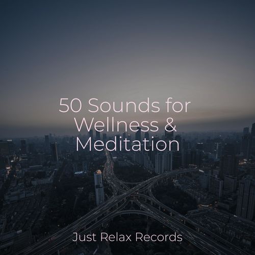 50 Sounds for Wellness & Meditation