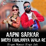Aapni Sarkar Bheru Chalaniya Wala Re