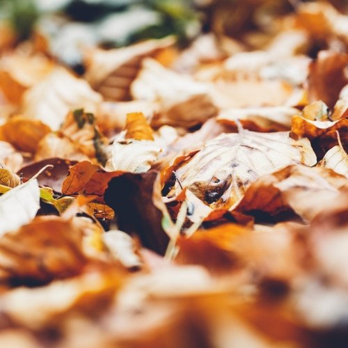 Affirming Sounds | Yoga and Relaxation