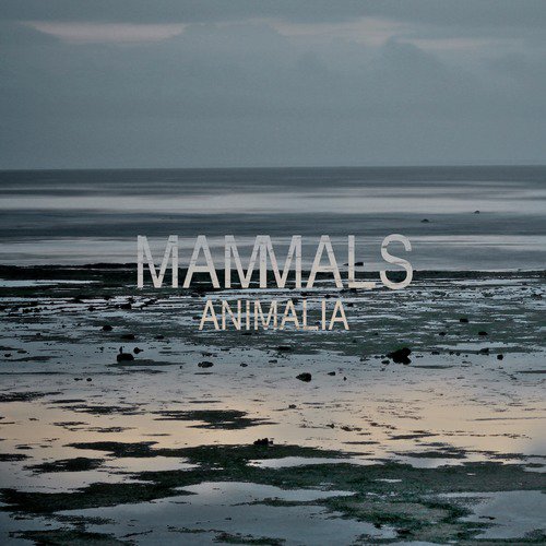 Animalia_poster_image