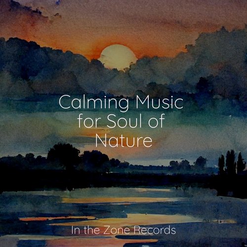 Calming Music for Soul of Nature