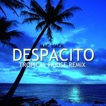 Despacito (Tropical House Mix)