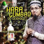 Hara Gumbad Jo Dekhoge, Pt. 3