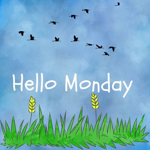 Hello Monday