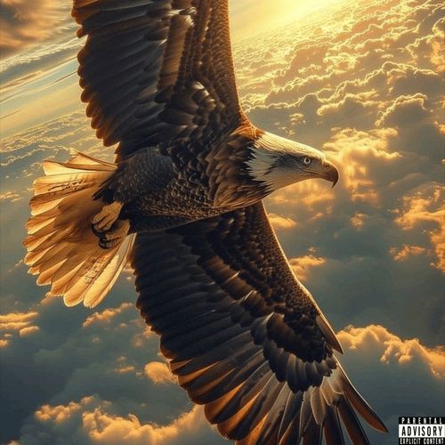 High