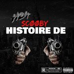 Histoire De