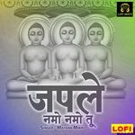 Japle Namo Namo Tu LOFI