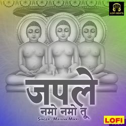 Japle Namo Namo Tu LOFI