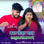 Kaat Lele Gaal Rasgulla Lekha Kachh De