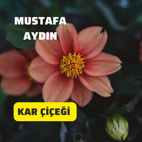 Kar Çiçeği cover art