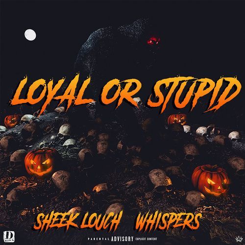 Loyal or Stupid_poster_image