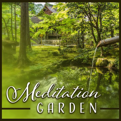 Meditation Garden – Zen & Traditional Japanese Koto Music for Relaxation, Healing Sounds of Calmness, Buddhist Meditation