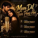 Mera Dil Tere Paas Hai