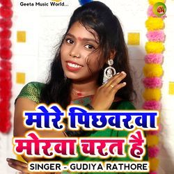 More Pichhwarwa Morwa Charat Hay