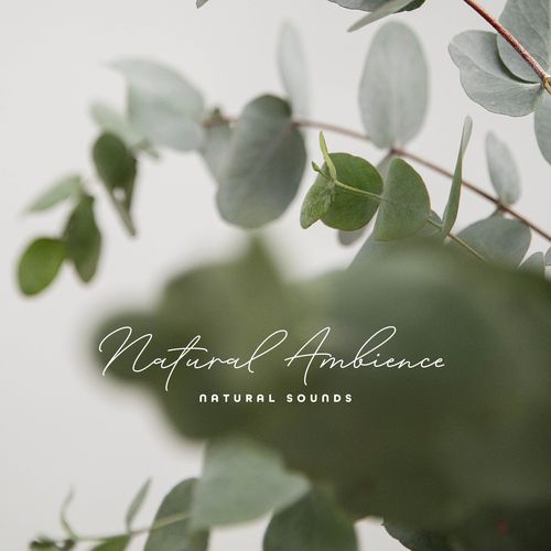 Binaural Nature Tone cover art