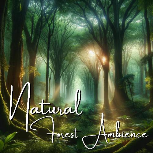 Natural Forest Ambience_poster_image